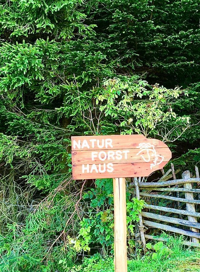 Naturforsthaus Gartenblick Fuer Hunde - Und Naturverbundene Menschen Preitenegg Exteriör bild