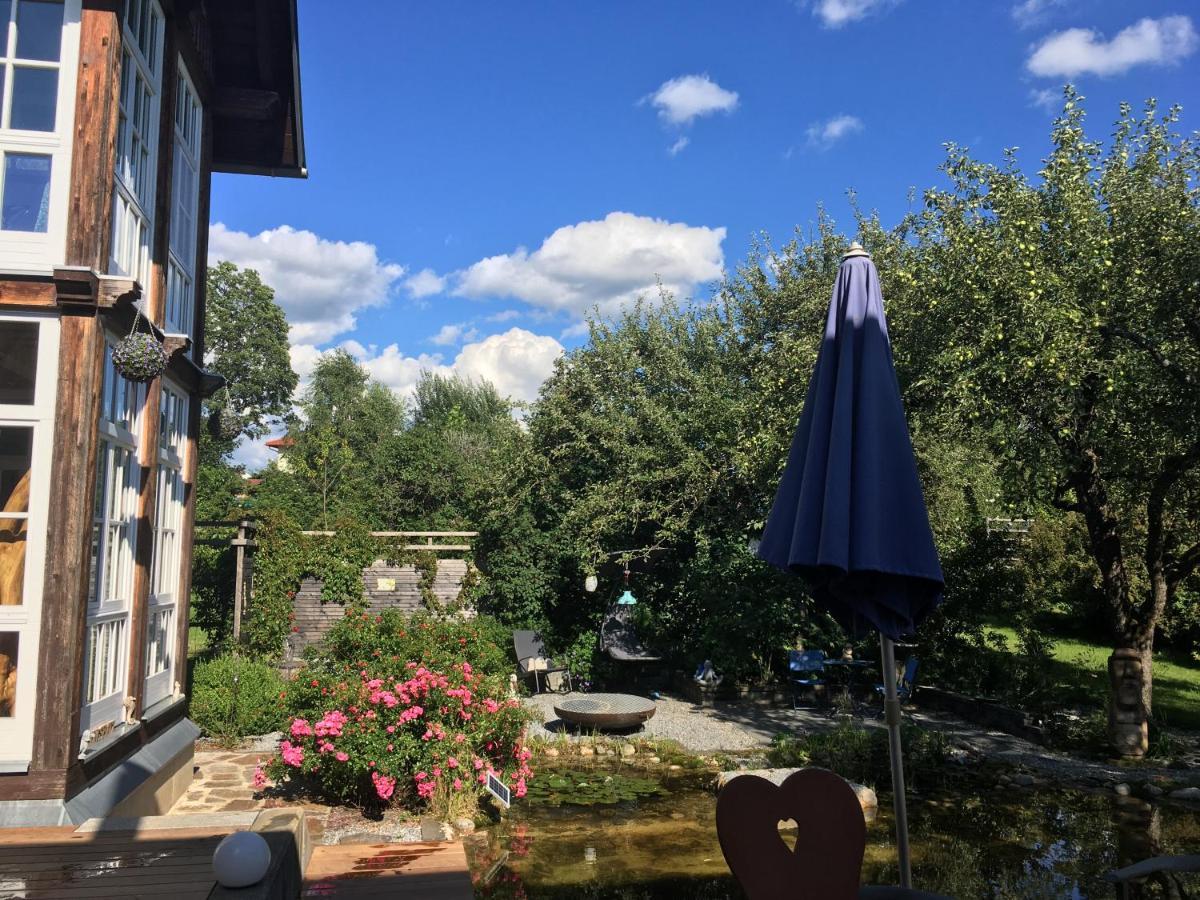 Naturforsthaus Gartenblick Fuer Hunde - Und Naturverbundene Menschen Preitenegg Exteriör bild